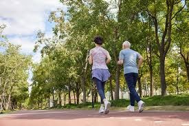 德甲：海登海姆以3比1 击败基尔